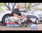 Texas Community Replaces Entire Police Department With Private Security – Crime Drops By 61%